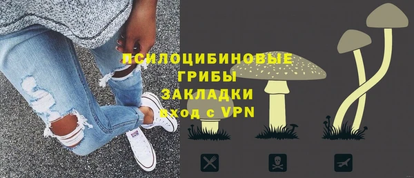 a pvp Богданович