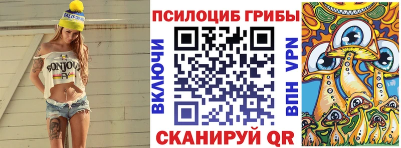 kraken как зайти  Богородицк  Галлюциногенные грибы GOLDEN TEACHER 